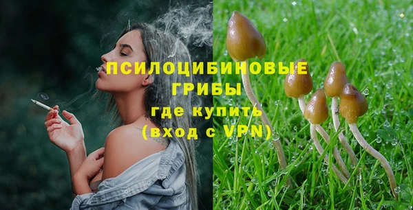 дмт Армянск